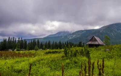 Niepogoda w Zakopanem? Sprawdzone atrakcje dla dzieci pod dachem