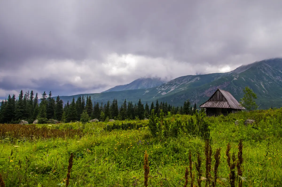 Deszczowe Tatry i górski krajobraz – niepogoda w Zakopanem i pomysły na rodzinne atrakcje Deszczowe Tatry i górski krajobraz – niepogoda w Zakopanem i pomysły na rodzinne atrakcje